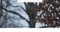 Desktop Screenshot of bluestonetree.com